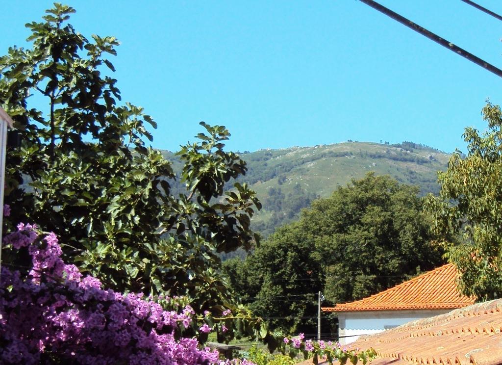Casa Do Mosteiro De Refoios Do Lima Понте де Лима Стая снимка